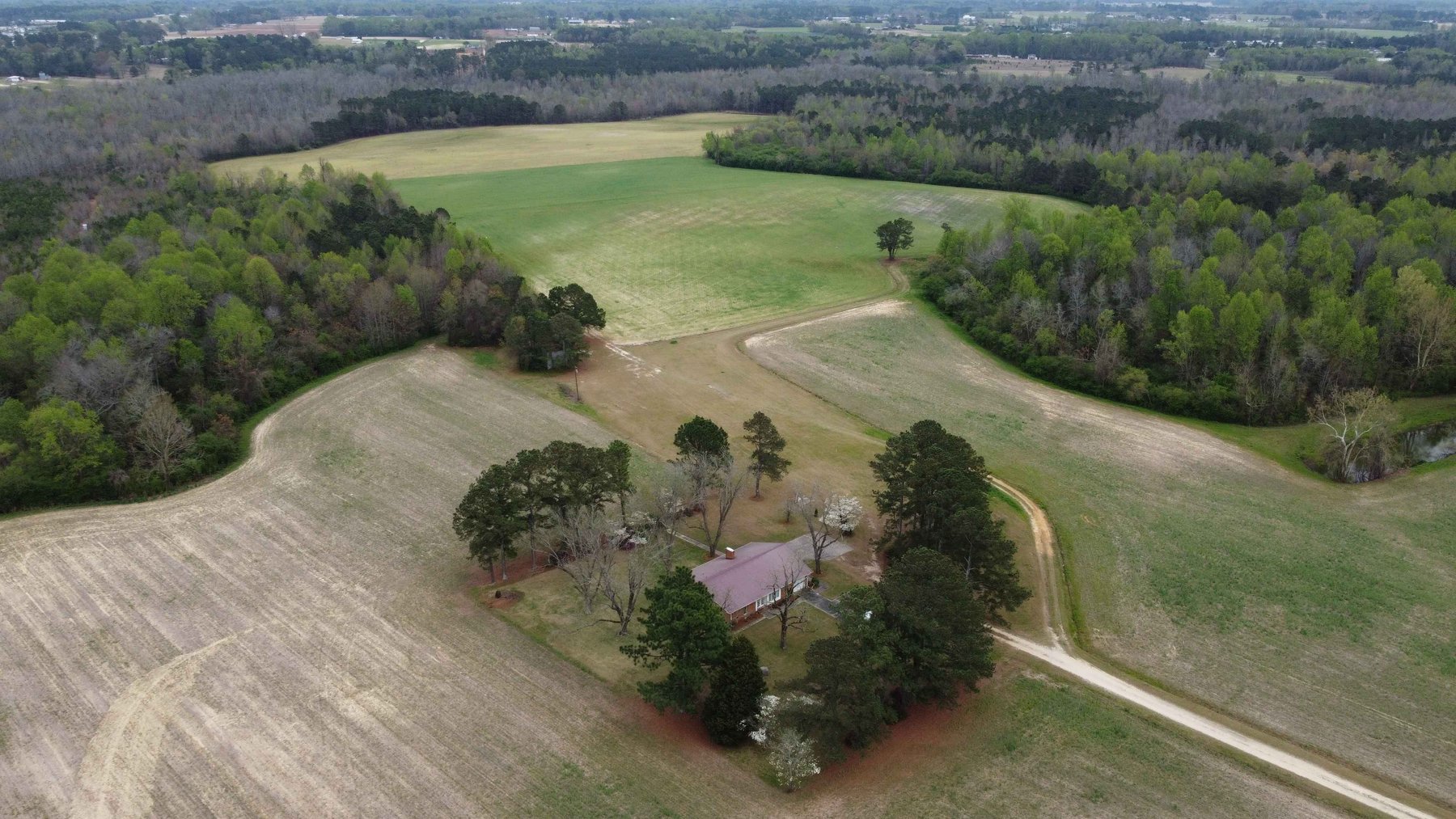 Image for 197 Acres in Harnett County Divided into Multiple Tracts with a Brick Ranch Home!