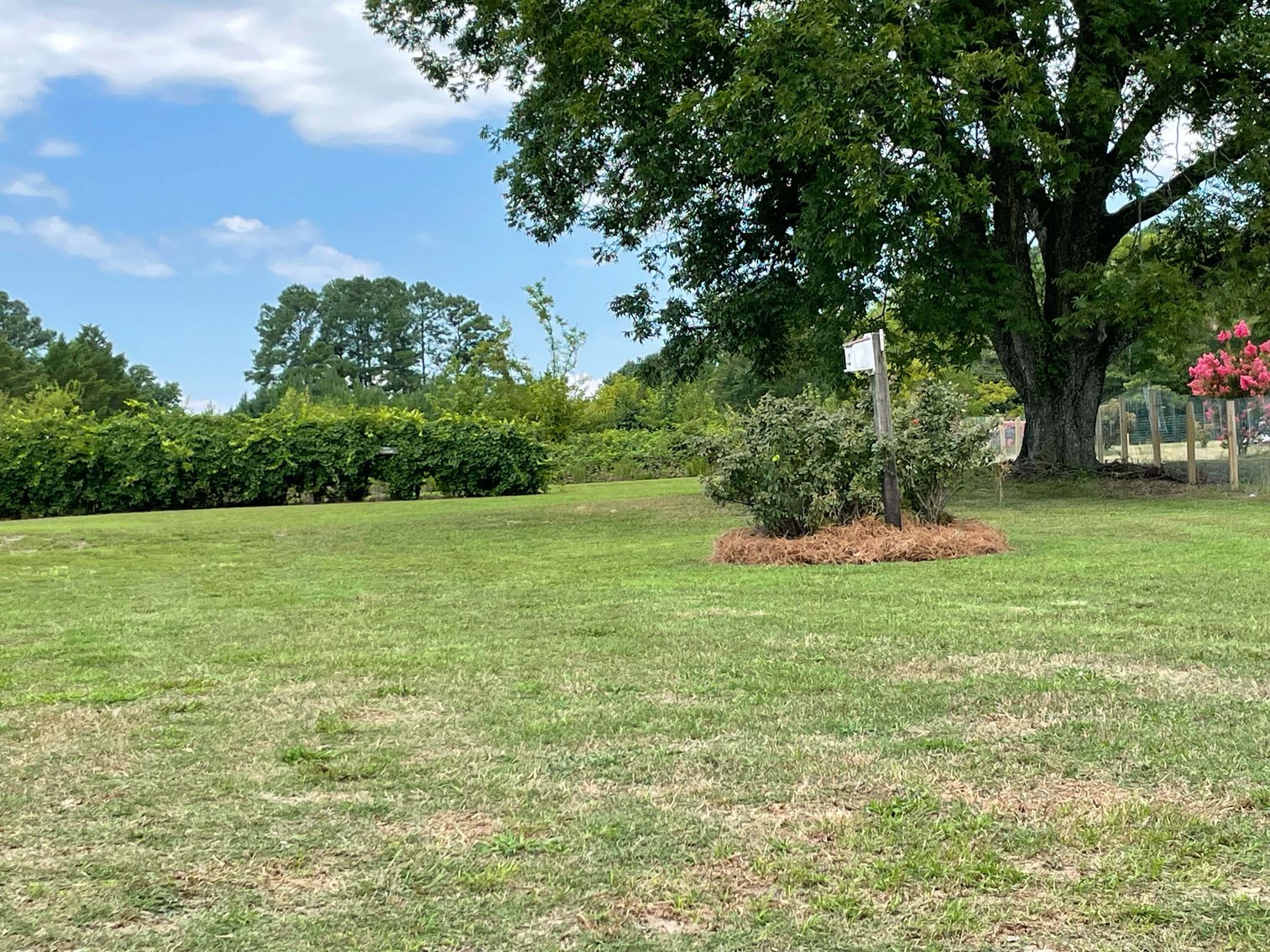 Image for Large Farmhouse located on nearly 2 acres in Johnston County!