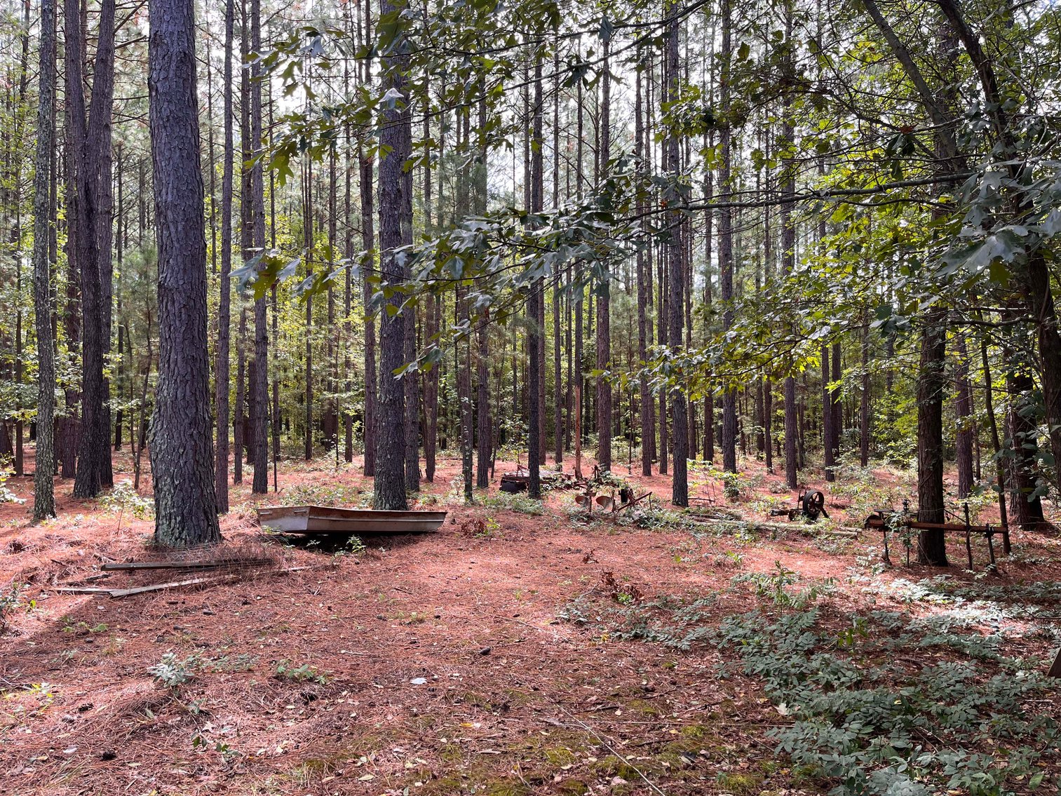 Image for 43 acres in Harnett County with a brick home in an onsite live /online / simulcast auction event!