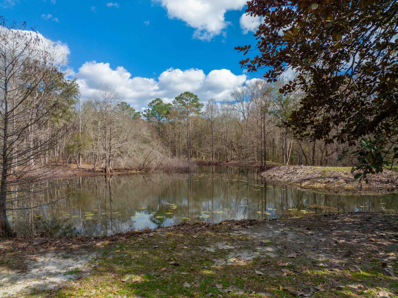 Image for Estate of Paul W. Barwick - 26+/- Acres, 3 Bedroom / 1 Bath Home, Pond and Pasture