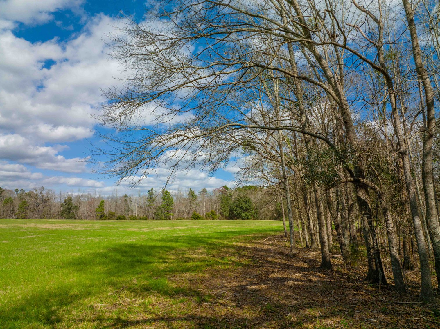 Image for Estate of Paul W. Barwick - 26+/- Acres, 3 Bedroom / 1 Bath Home, Pond and Pasture