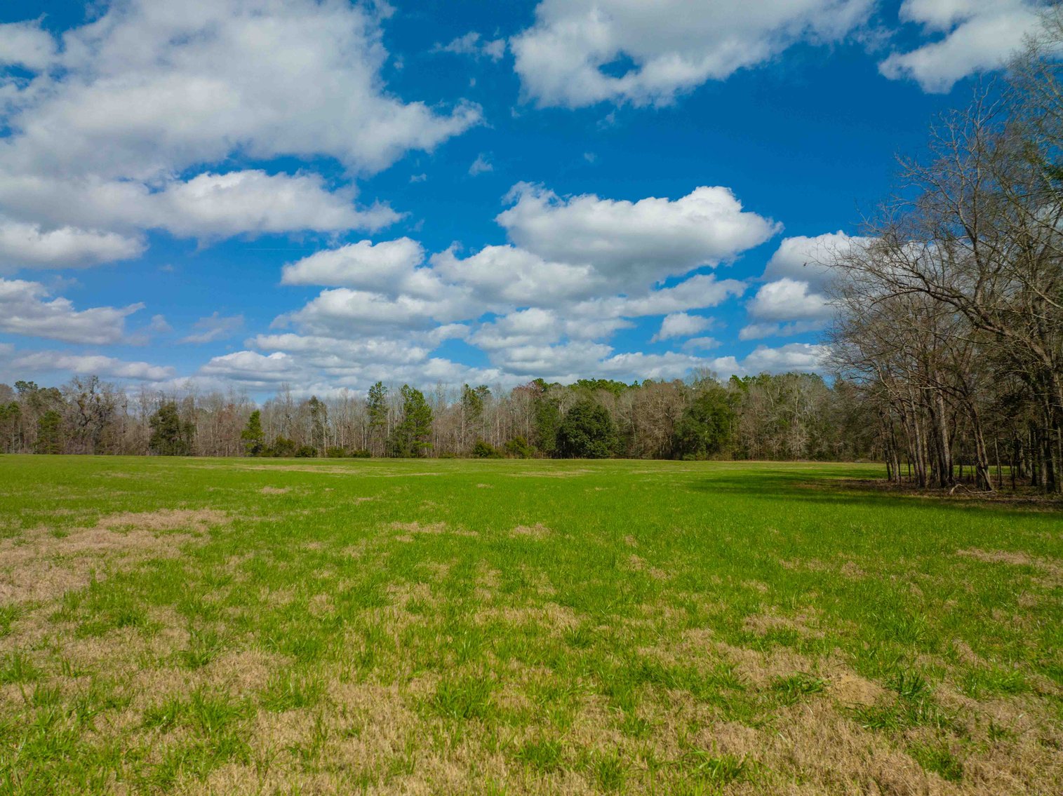 Image for Estate of Paul W. Barwick - 26+/- Acres, 3 Bedroom / 1 Bath Home, Pond and Pasture