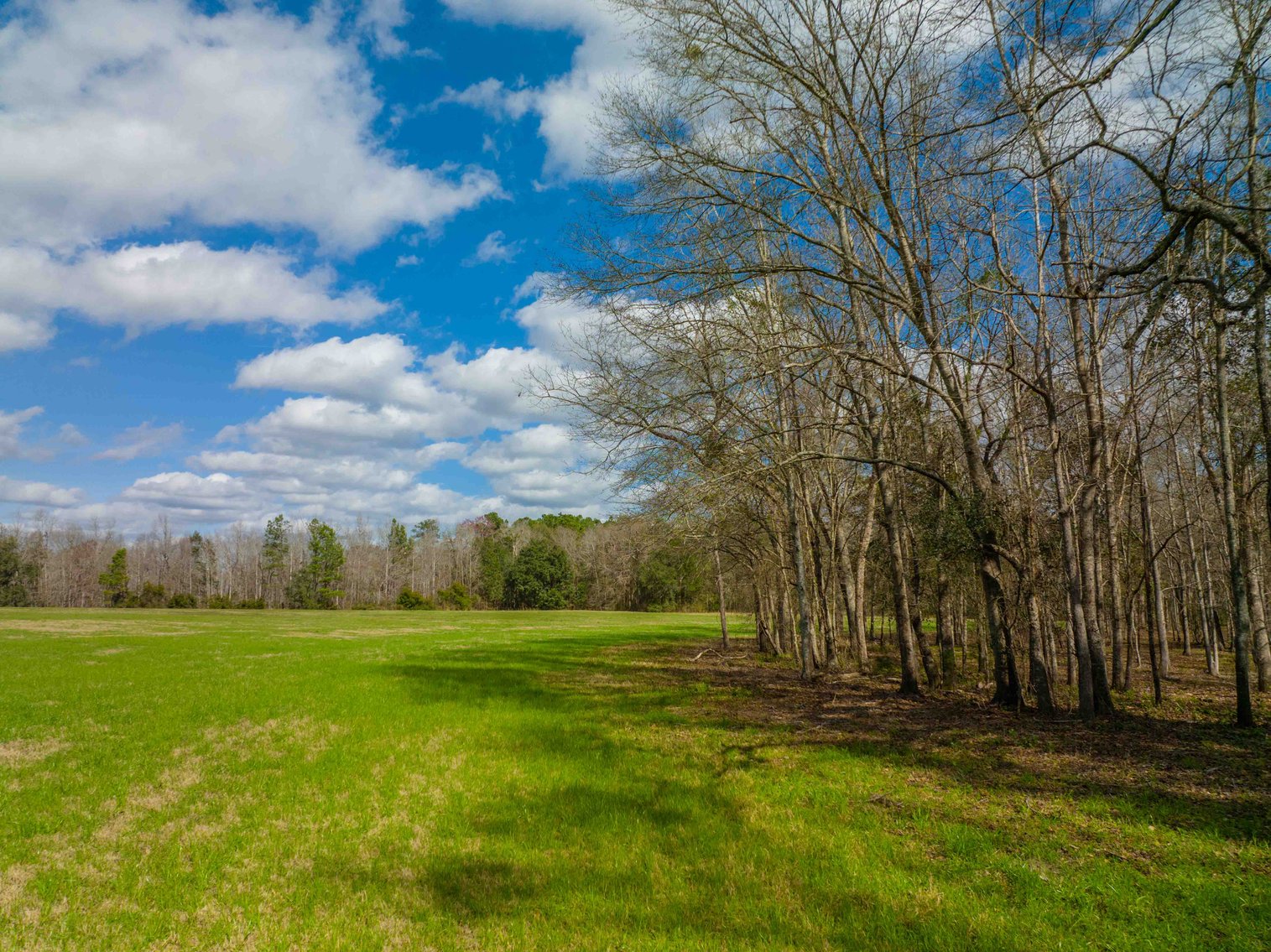 Image for Estate of Paul W. Barwick - 26+/- Acres, 3 Bedroom / 1 Bath Home, Pond and Pasture
