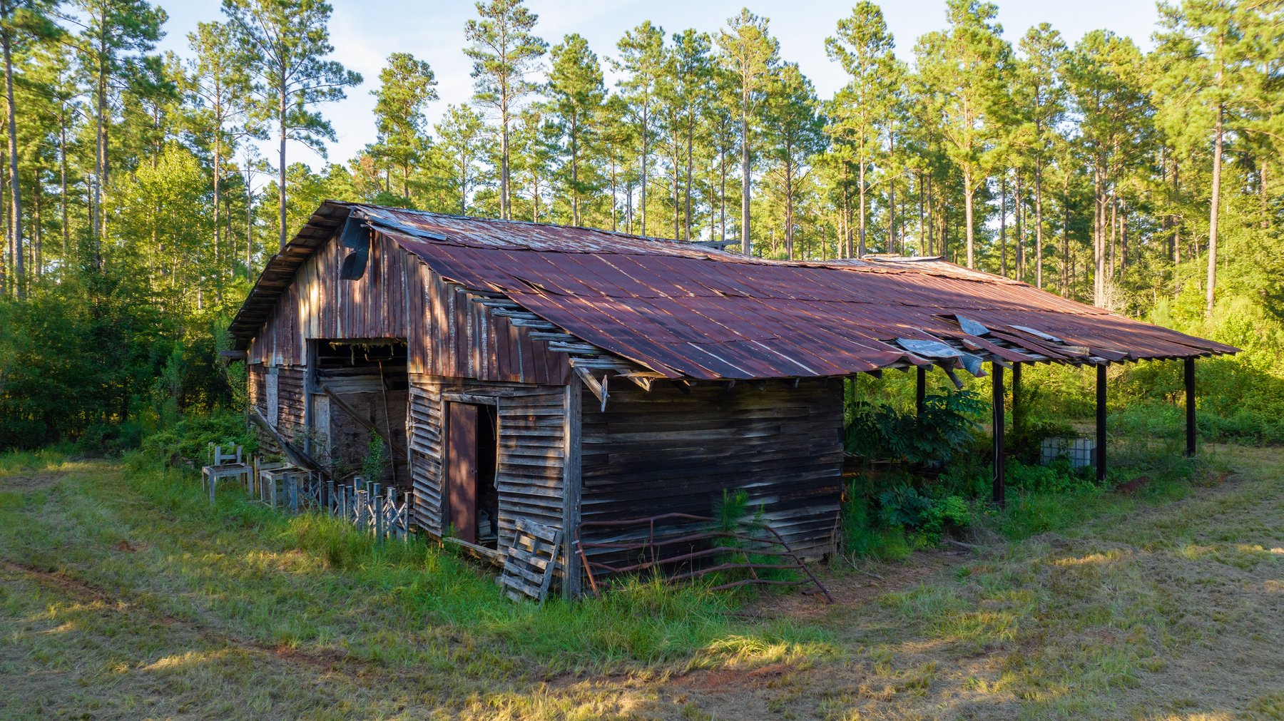 Image for 600+/- Acres - Bedenbaugh Place - Sumter County, GA