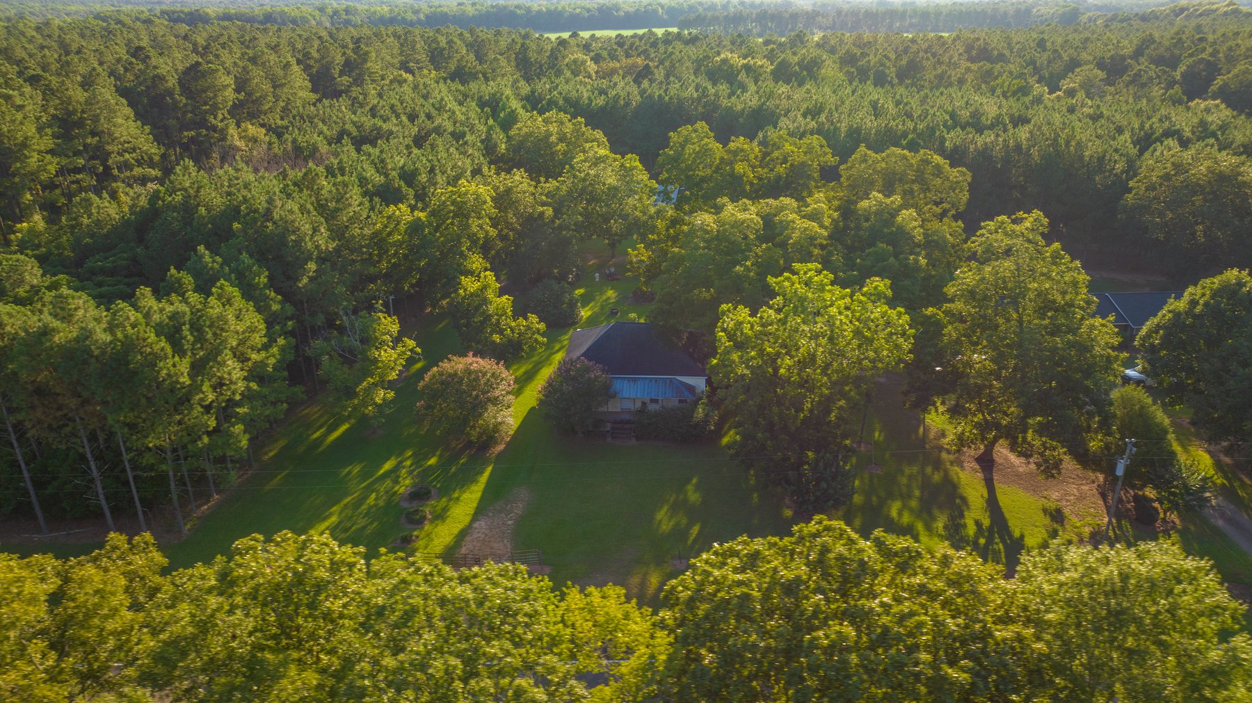 Image for 600+/- Acres - Bedenbaugh Place - Sumter County, GA