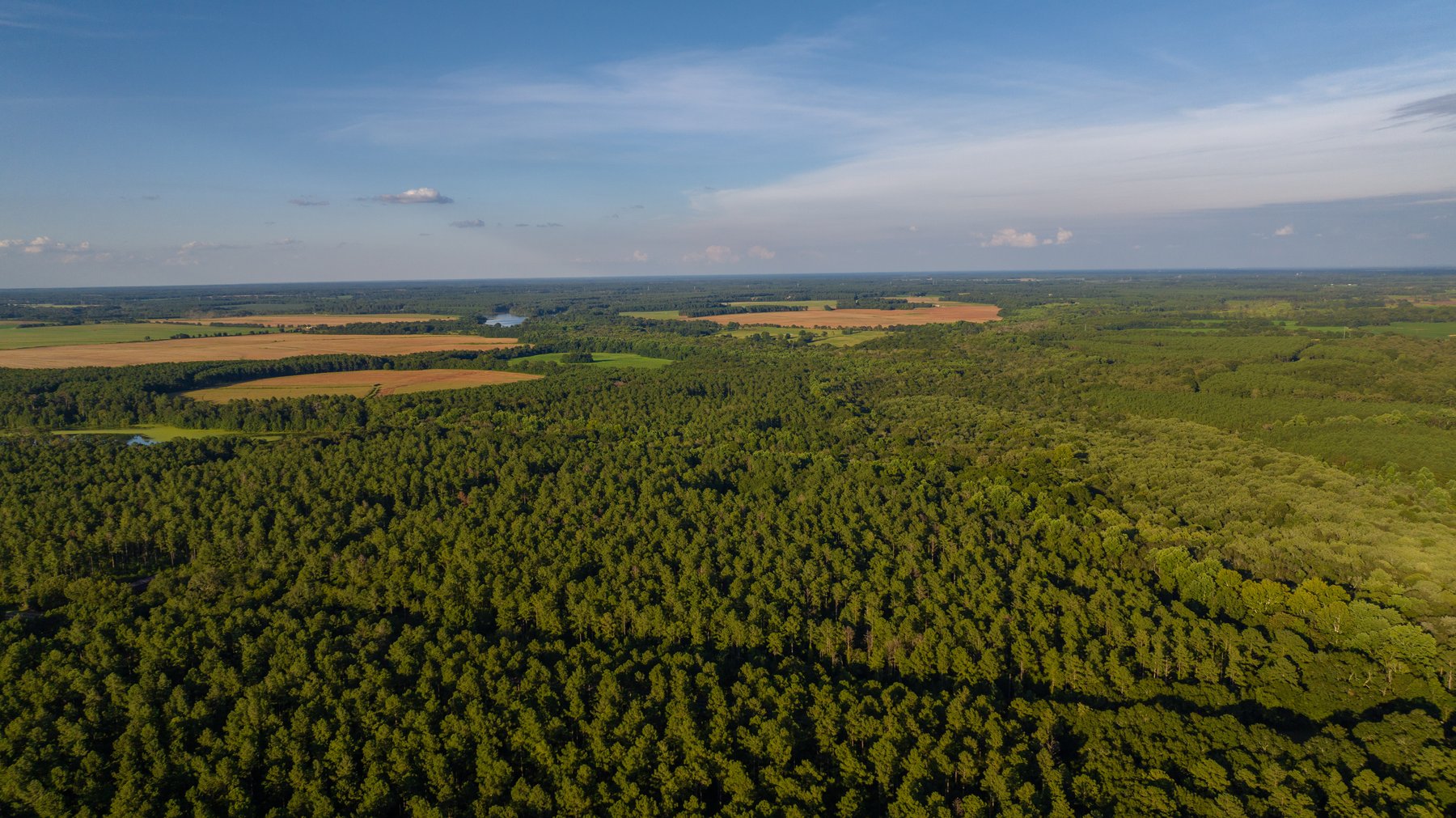 Image for 600+/- Acres - Bedenbaugh Place - Sumter County, GA