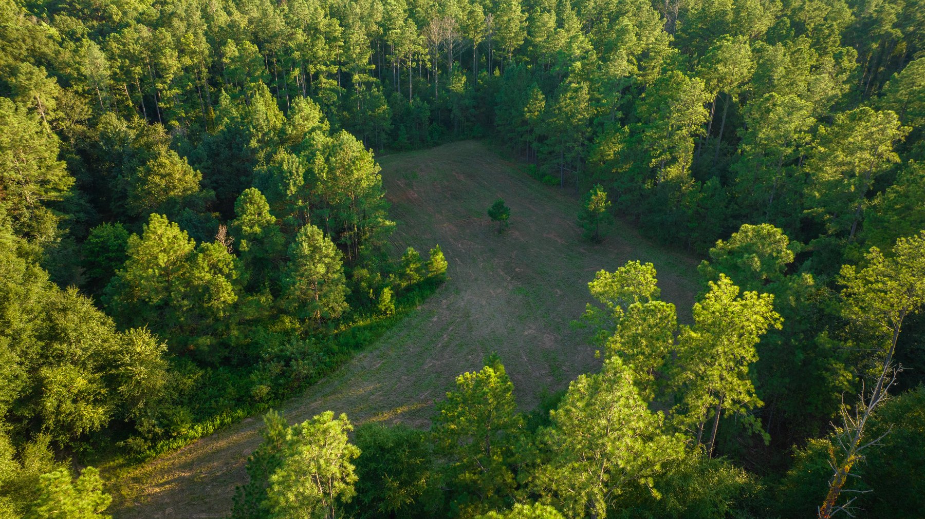 Image for 600+/- Acres - Bedenbaugh Place - Sumter County, GA