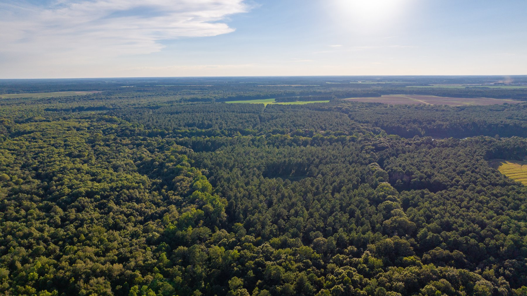 Image for 600+/- Acres - Bedenbaugh Place - Sumter County, GA