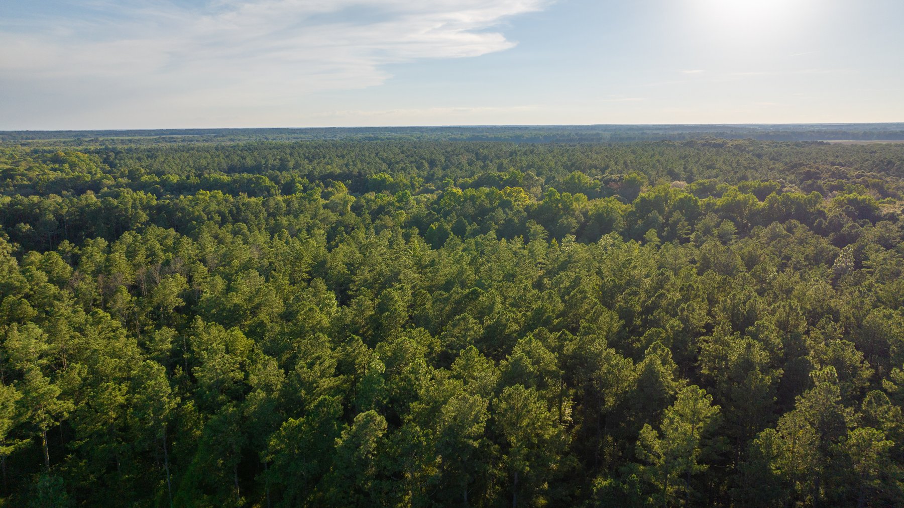 Image for 600+/- Acres - Bedenbaugh Place - Sumter County, GA