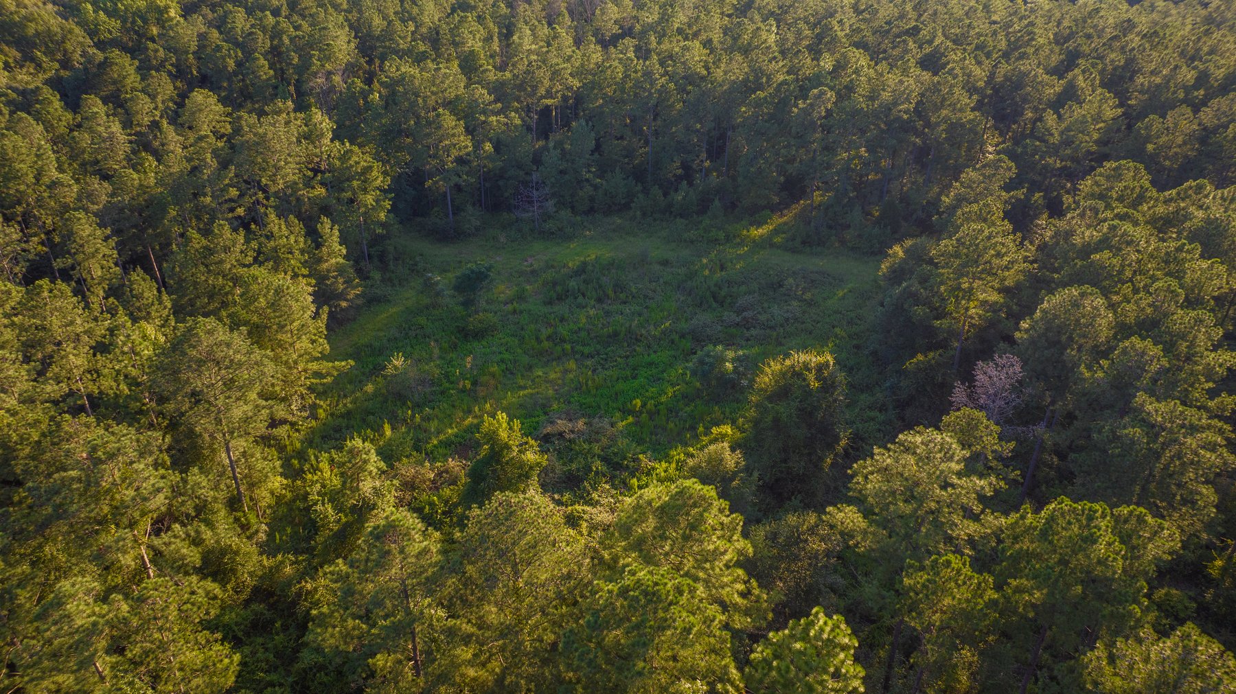 Image for 600+/- Acres - Bedenbaugh Place - Sumter County, GA