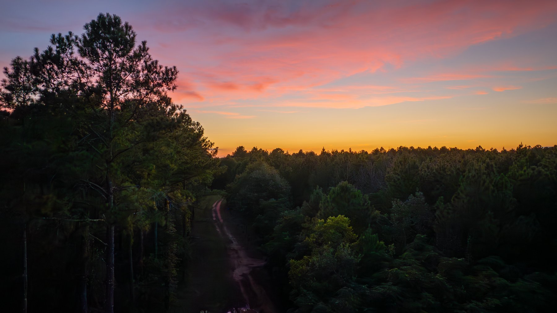 Image for 600+/- Acres - Bedenbaugh Place - Sumter County, GA