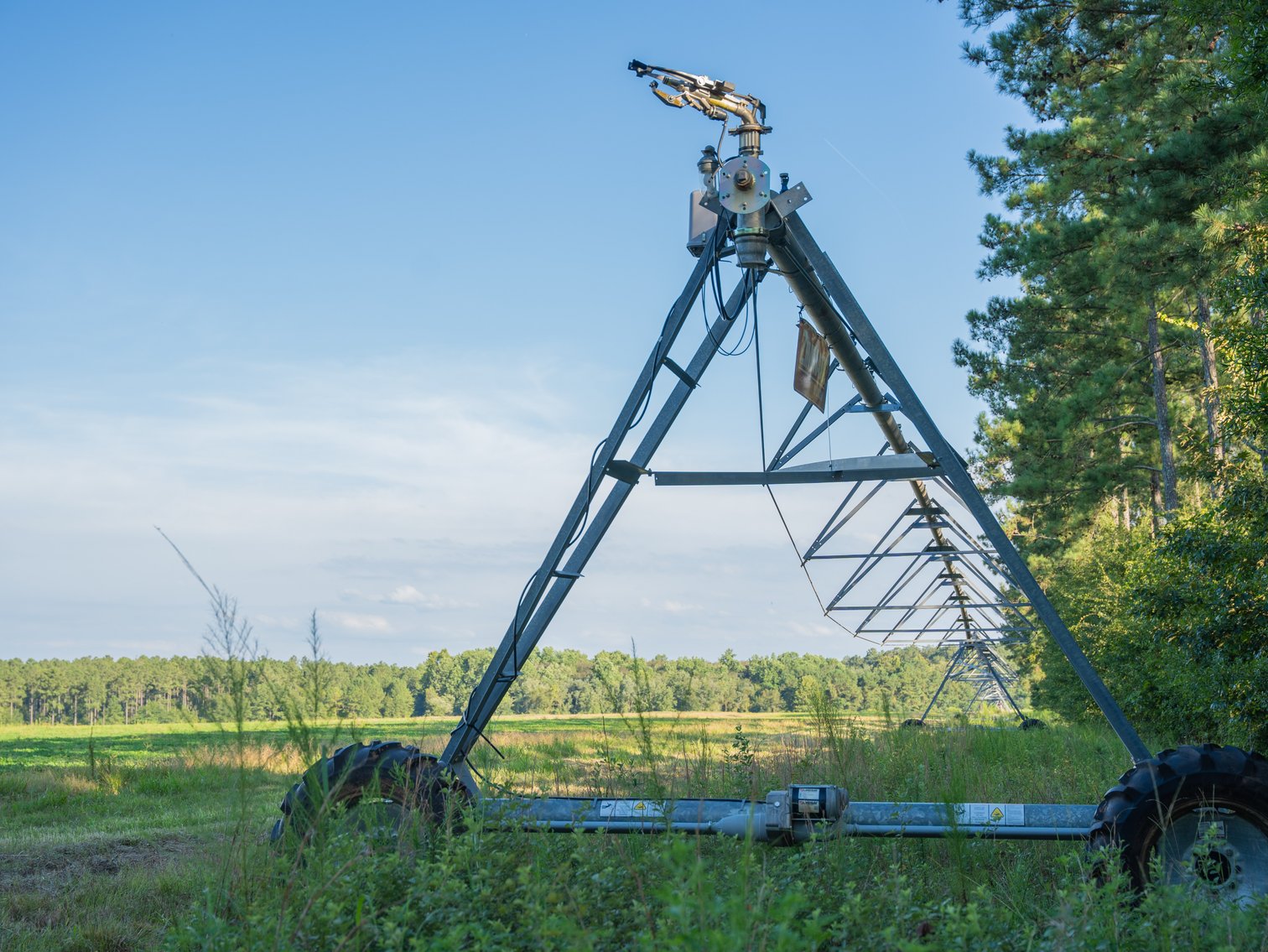 Image for 600+/- Acres - Bedenbaugh Place - Sumter County, GA