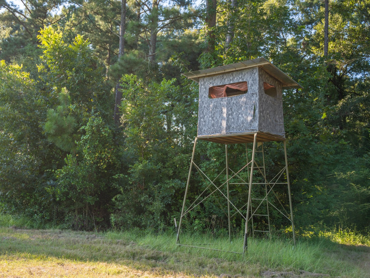 Image for 600+/- Acres - Bedenbaugh Place - Sumter County, GA