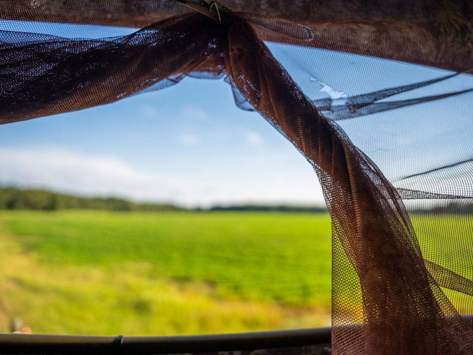 Image for 600+/- Acres - Bedenbaugh Place - Sumter County, GA