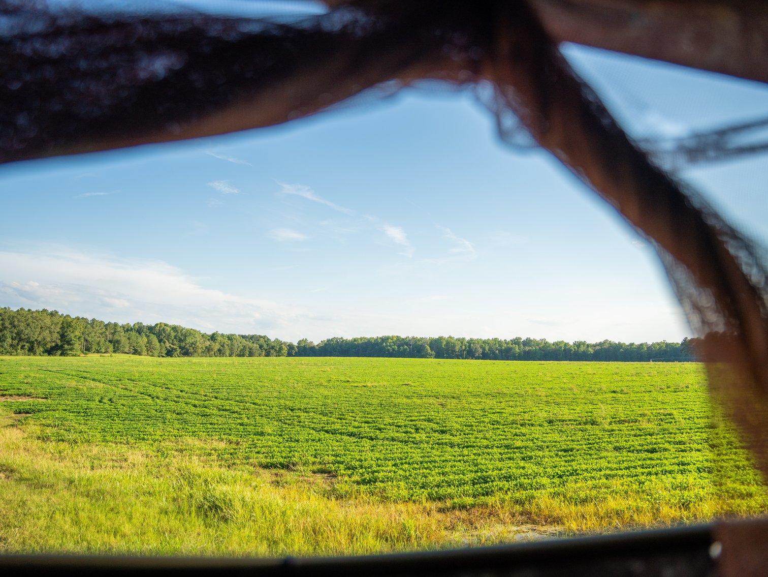 Image for 600+/- Acres - Bedenbaugh Place - Sumter County, GA