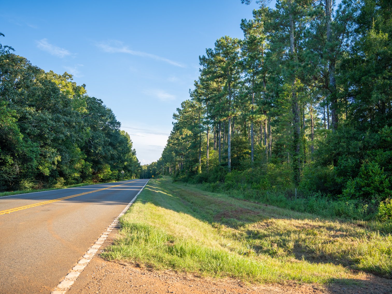 Image for 600+/- Acres - Bedenbaugh Place - Sumter County, GA
