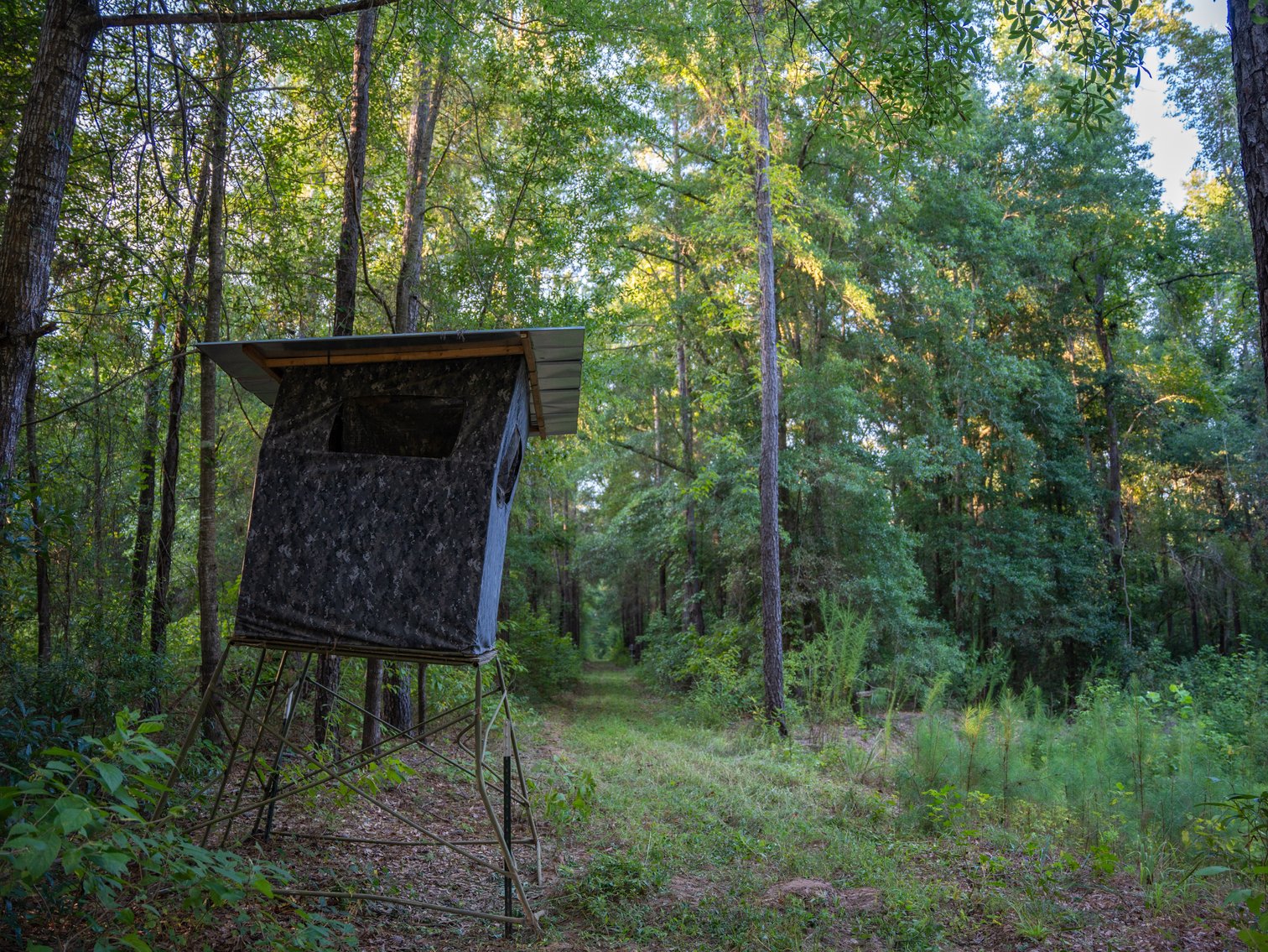 Image for 600+/- Acres - Bedenbaugh Place - Sumter County, GA