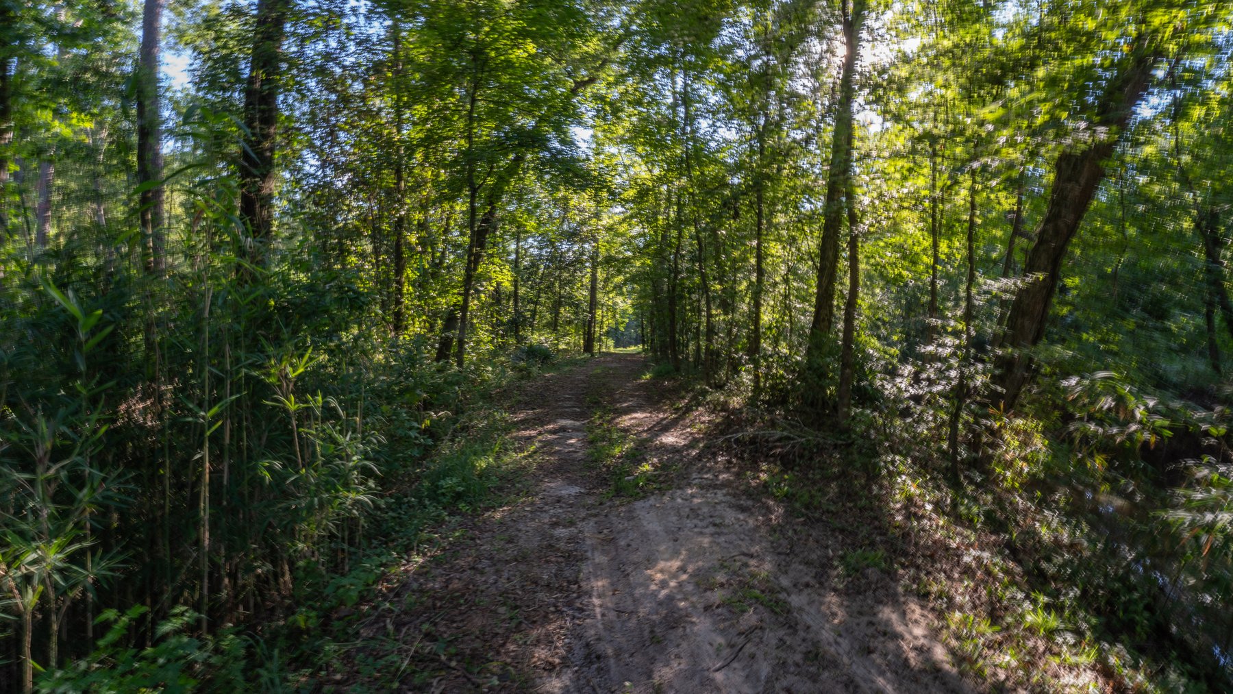Image for 600+/- Acres - Bedenbaugh Place - Sumter County, GA