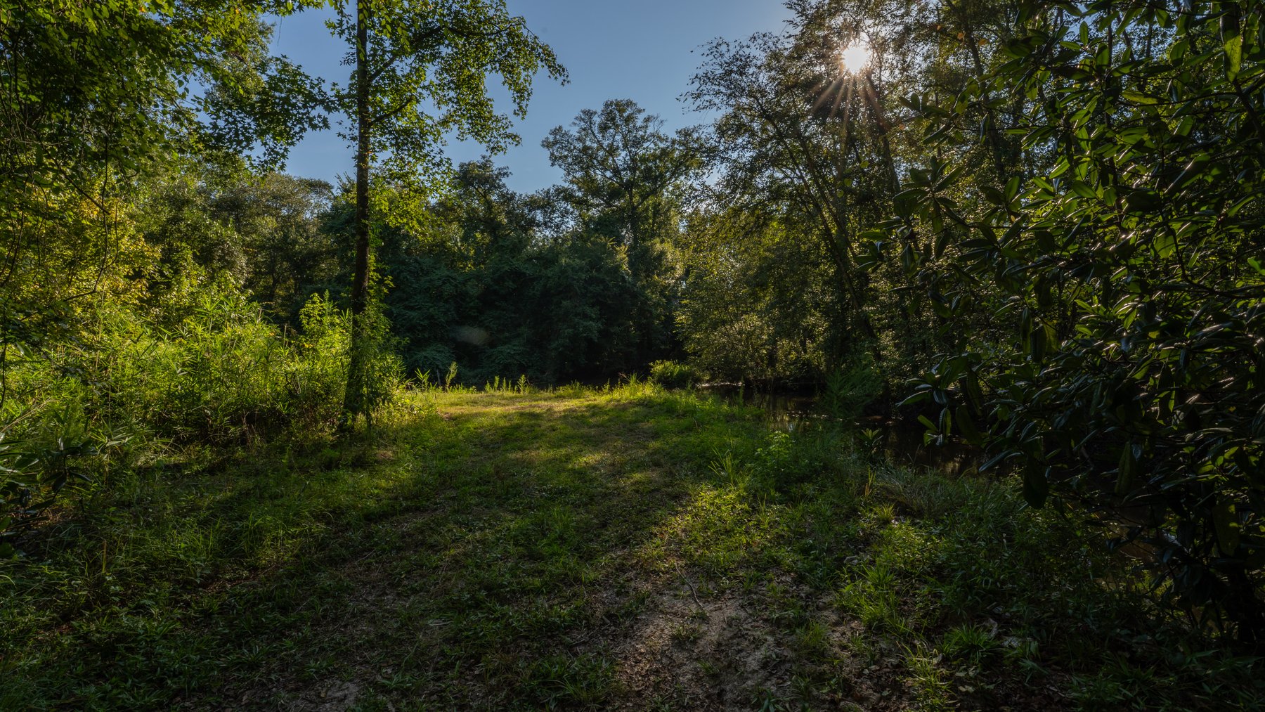 Image for 600+/- Acres - Bedenbaugh Place - Sumter County, GA