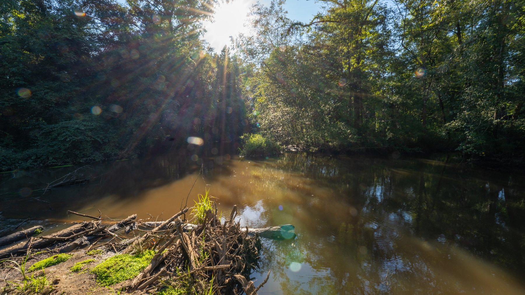 Image for 600+/- Acres - Bedenbaugh Place - Sumter County, GA