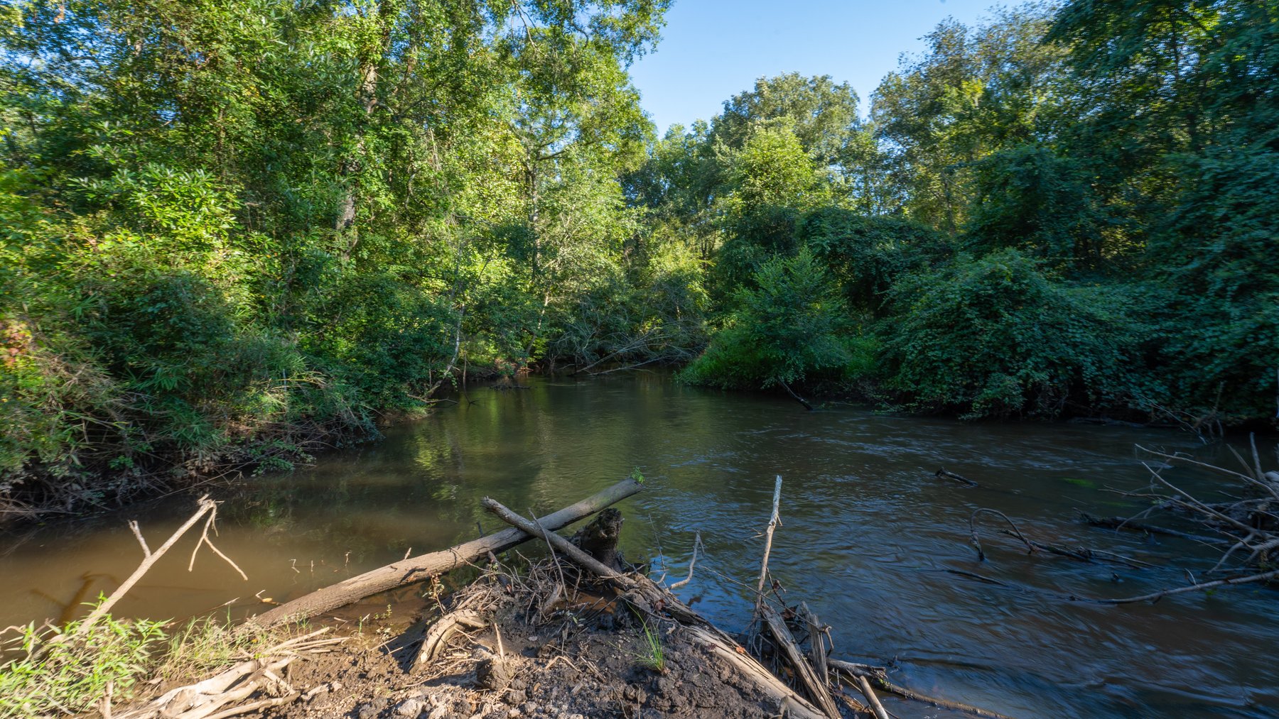 Image for 600+/- Acres - Bedenbaugh Place - Sumter County, GA