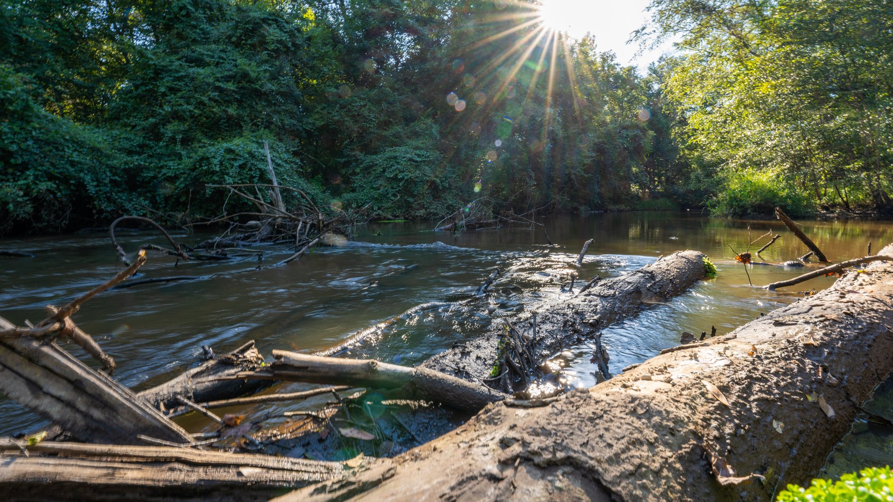 Image for 600+/- Acres - Bedenbaugh Place - Sumter County, GA