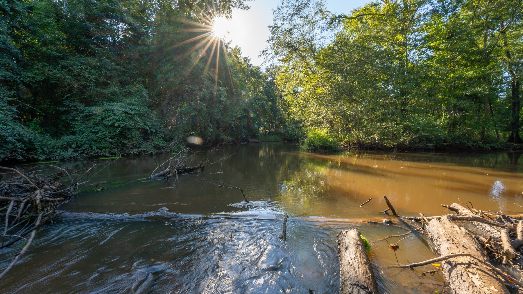 Image for 600+/- Acres - Bedenbaugh Place - Sumter County, GA