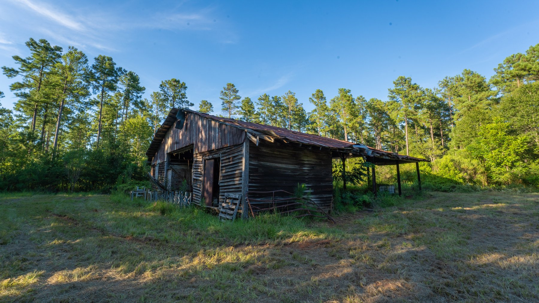 Image for 600+/- Acres - Bedenbaugh Place - Sumter County, GA
