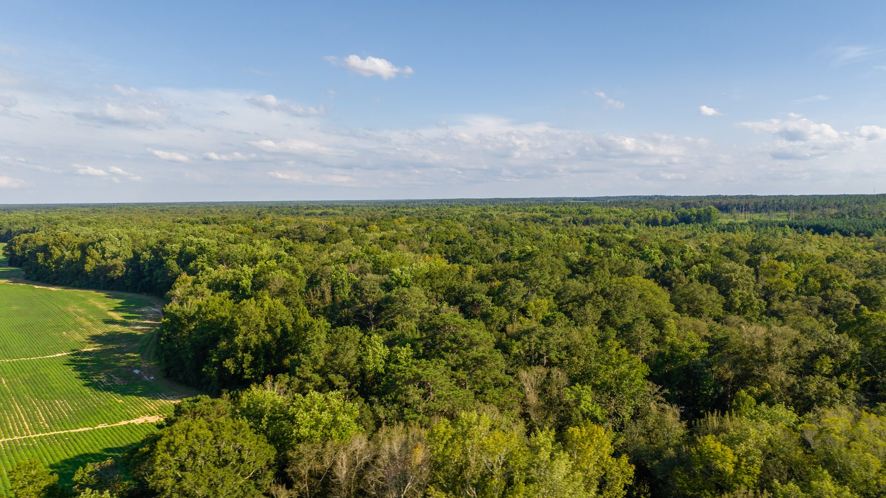 Image for 600+/- Acres - Bedenbaugh Place - Sumter County, GA