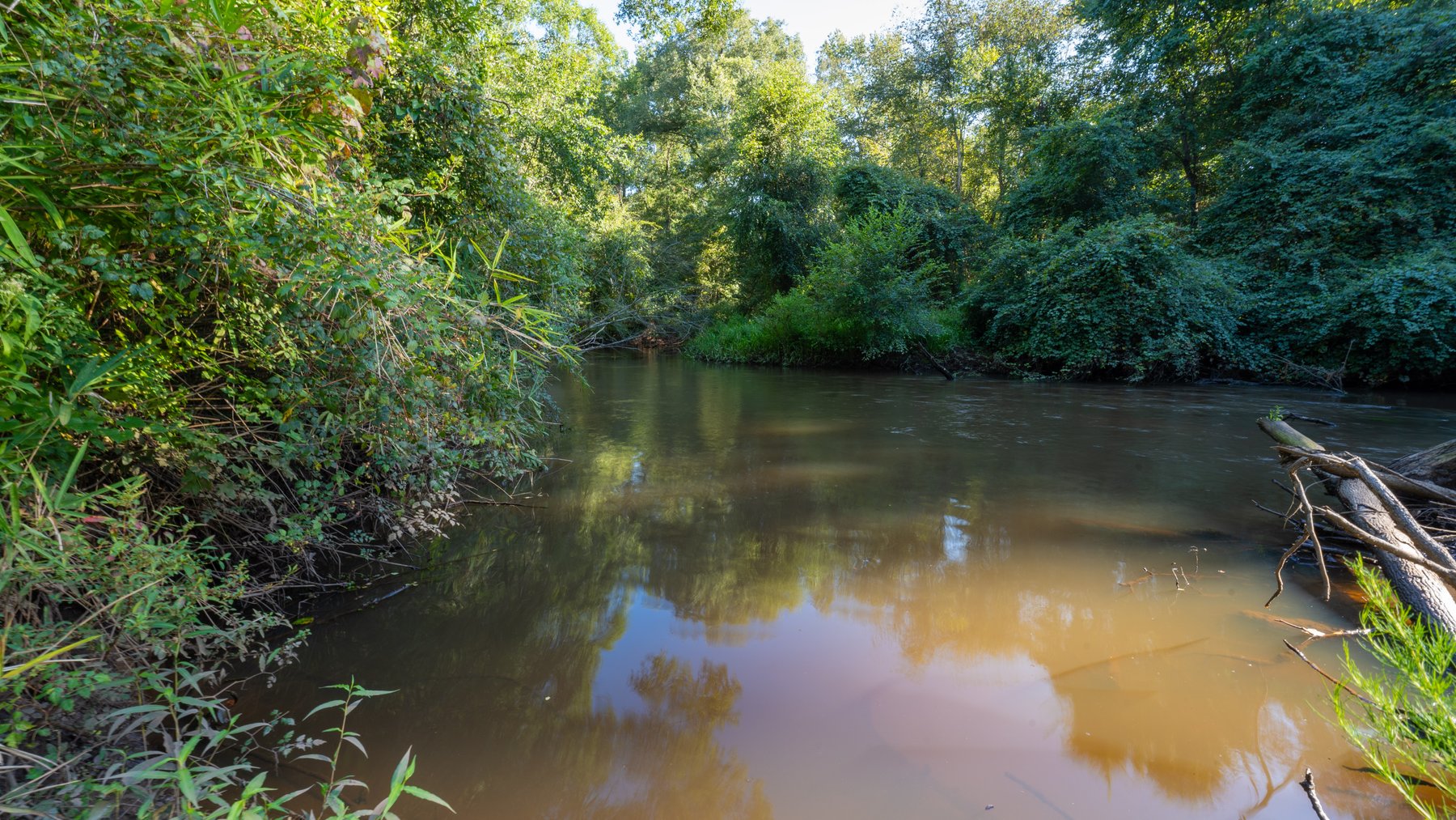 Image for 600+/- Acres - Bedenbaugh Place - Sumter County, GA