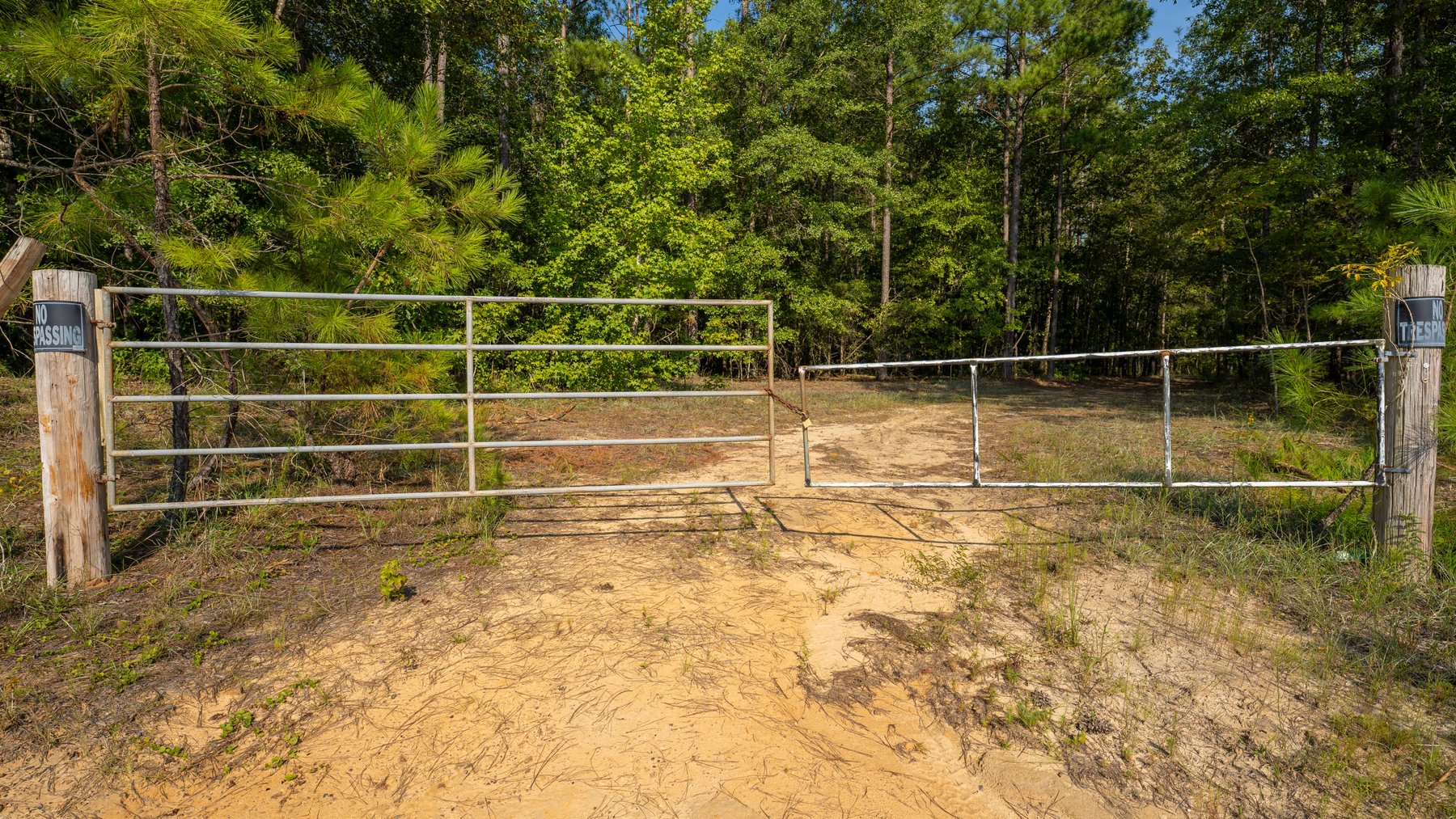 Image for 276+/- Acres - Buck Creek Place - Macon County, GA