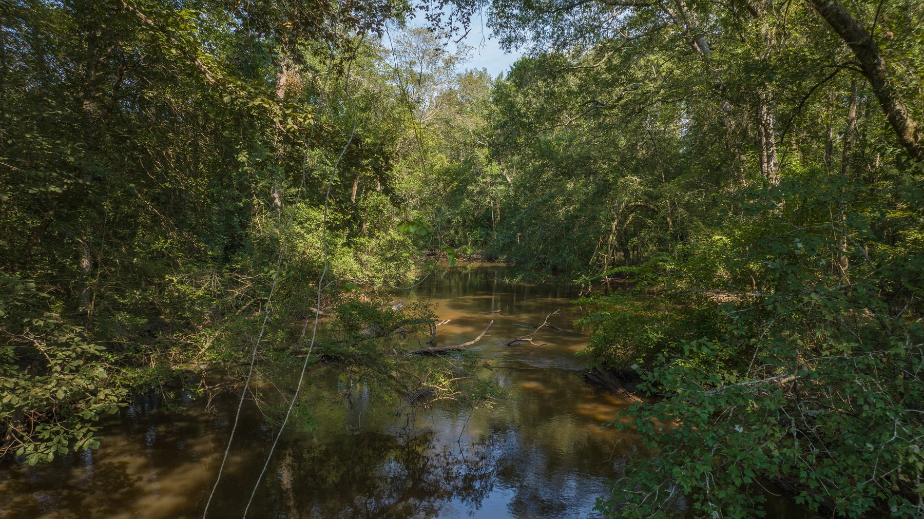 Image for 276+/- Acres - Buck Creek Place - Macon County, GA