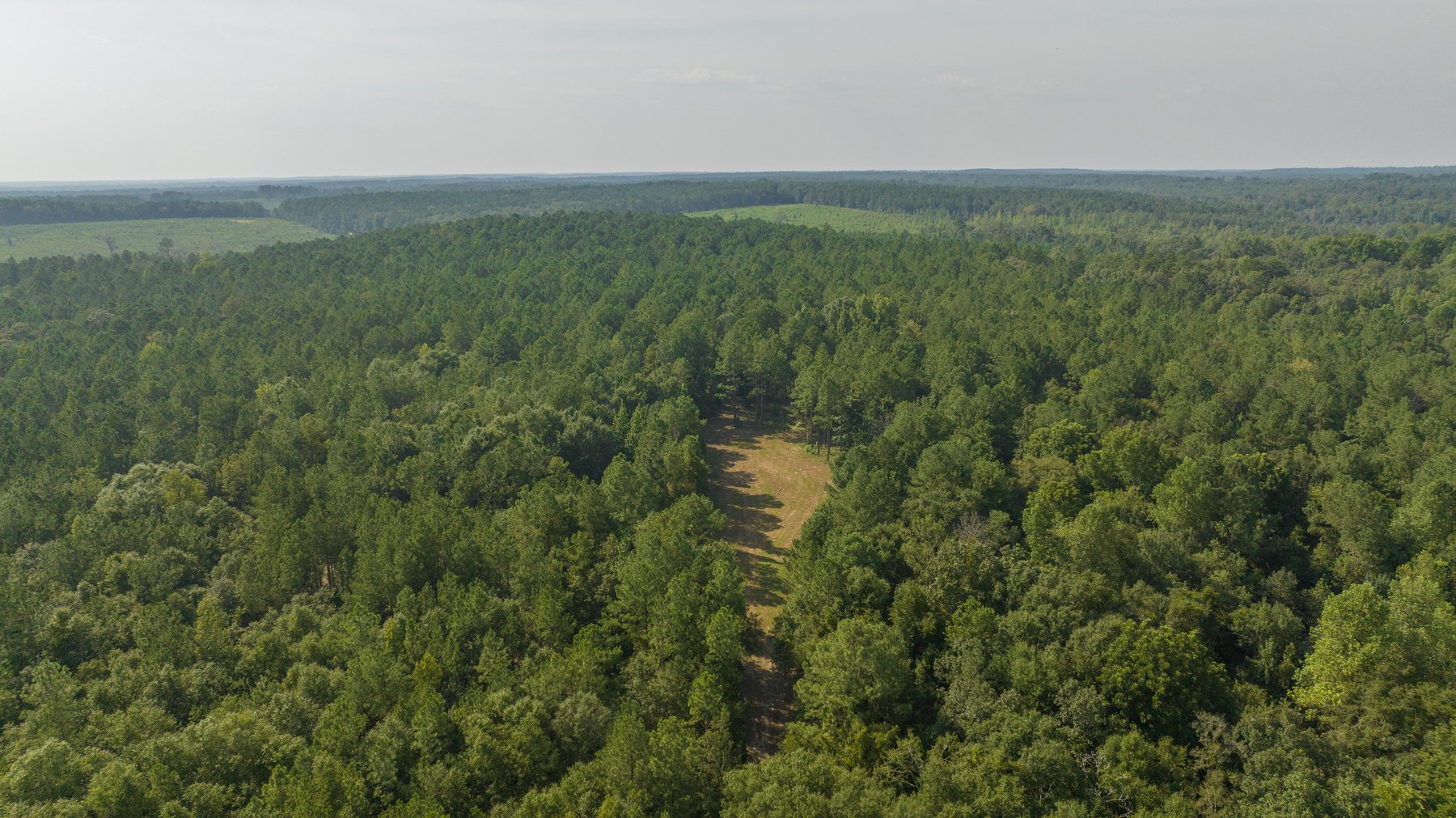 Image for 276+/- Acres - Buck Creek Place - Macon County, GA