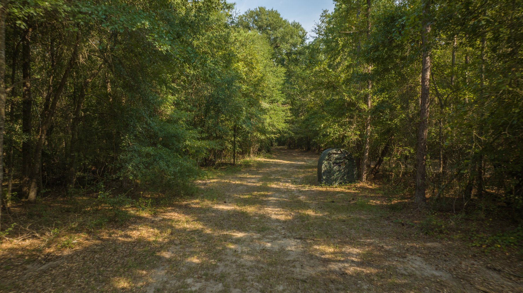 Image for 276+/- Acres - Buck Creek Place - Macon County, GA