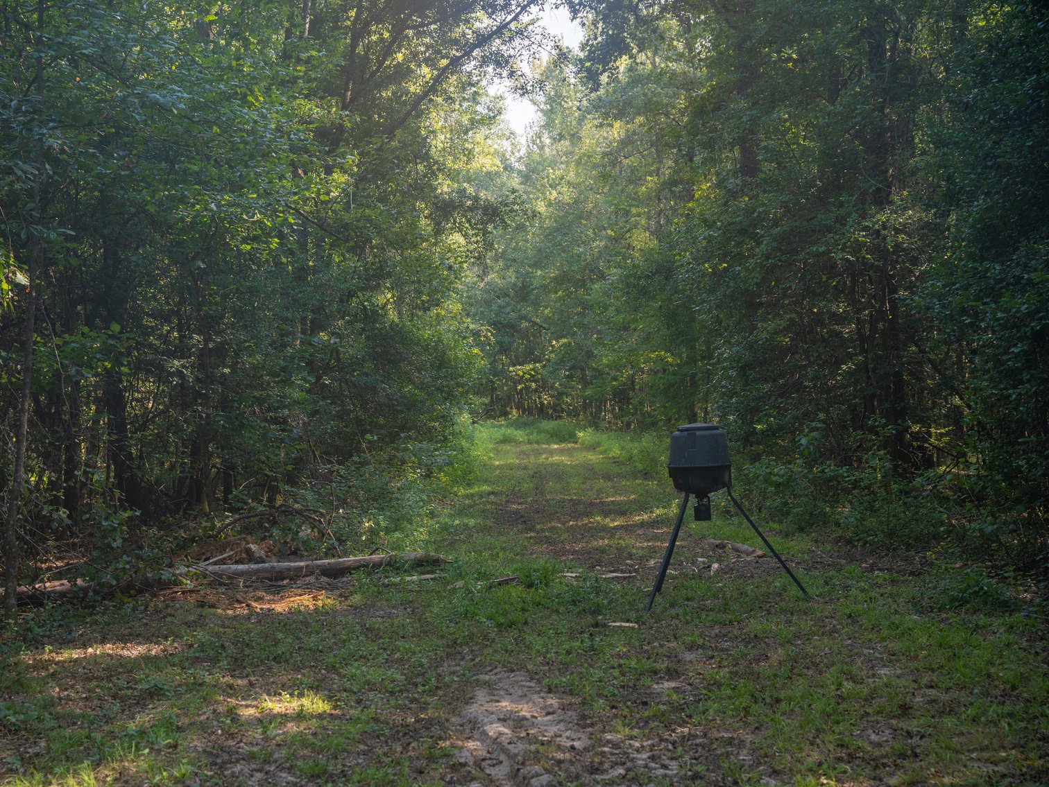 Image for 276+/- Acres - Buck Creek Place - Macon County, GA