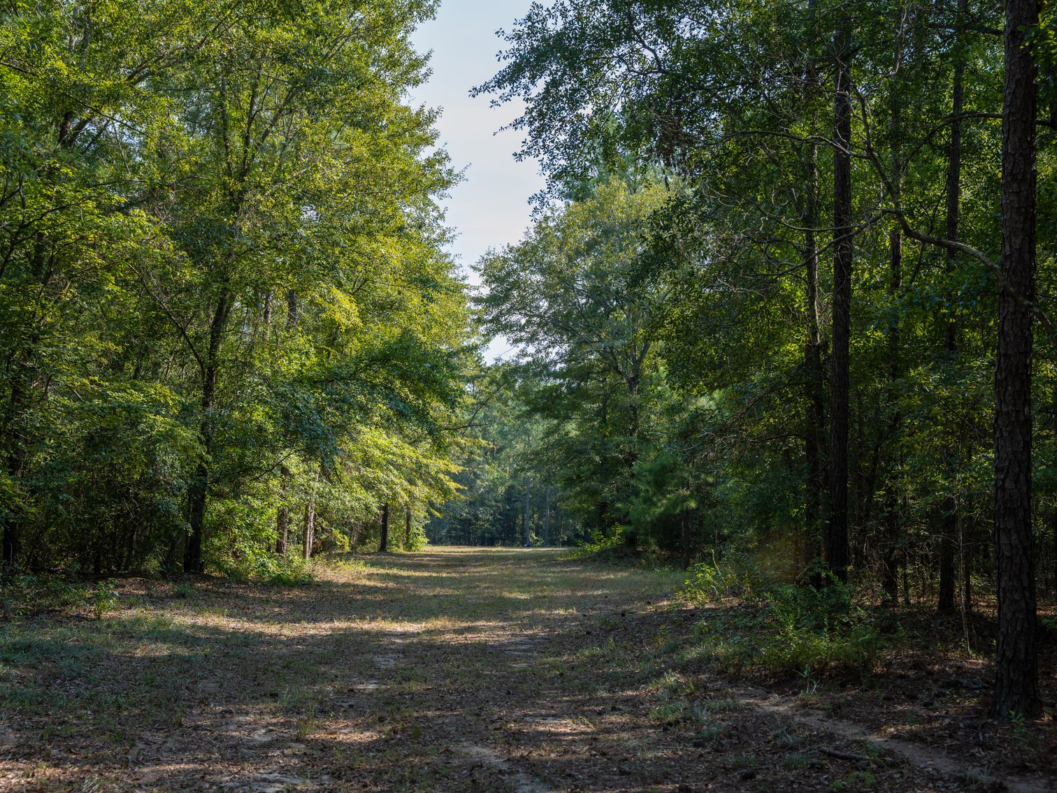 Image for 276+/- Acres - Buck Creek Place - Macon County, GA