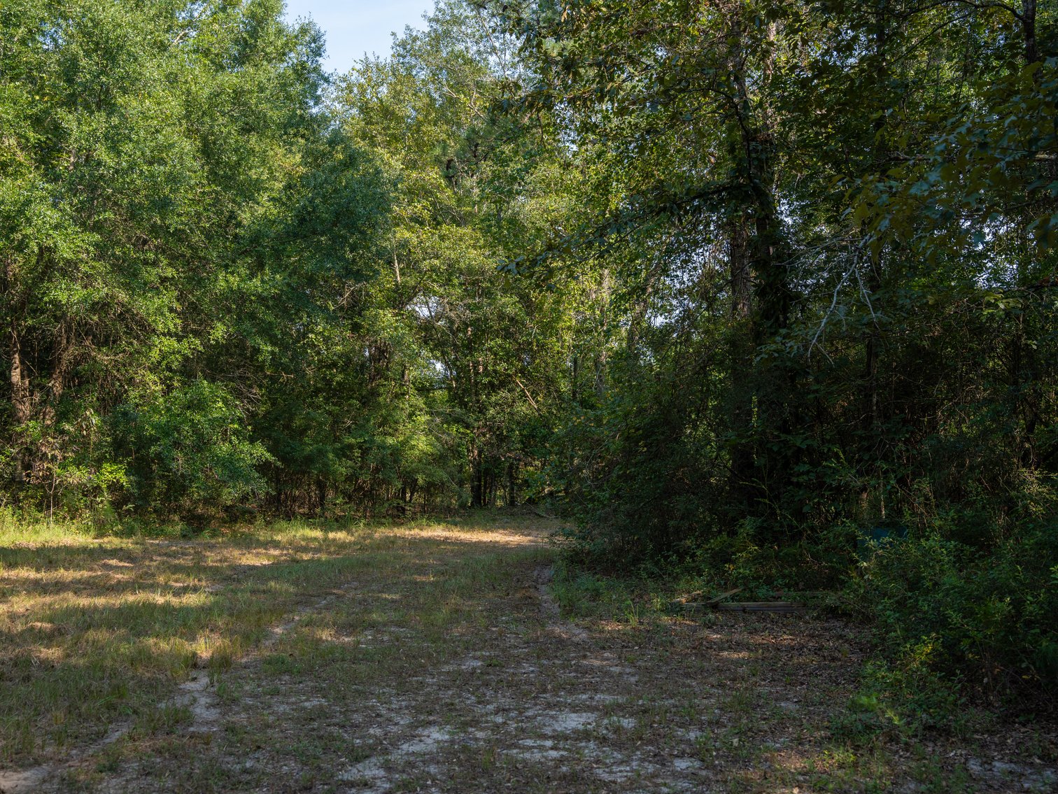 Image for 276+/- Acres - Buck Creek Place - Macon County, GA