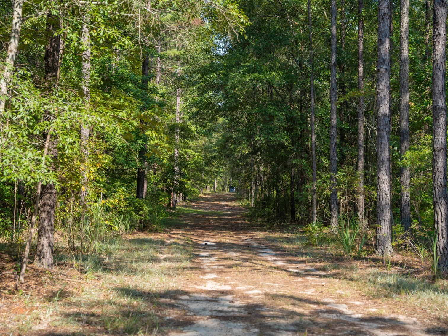 Image for 276+/- Acres - Buck Creek Place - Macon County, GA