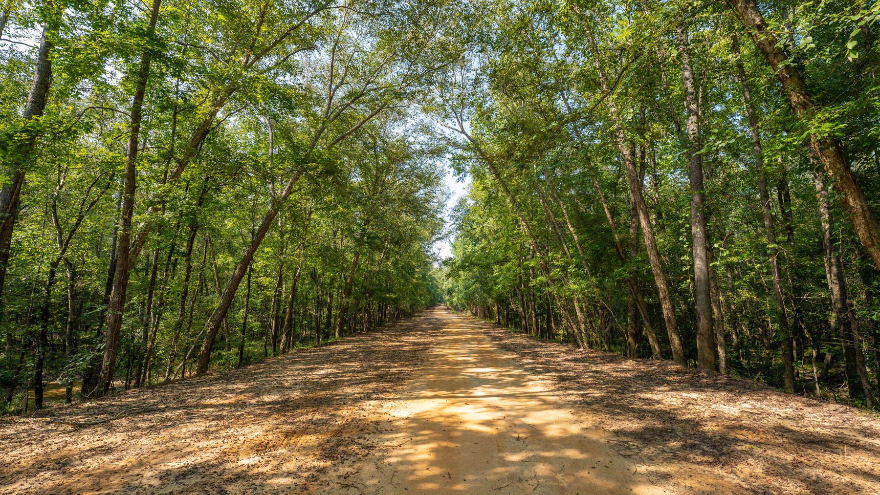 Image for 276+/- Acres - Buck Creek Place - Macon County, GA