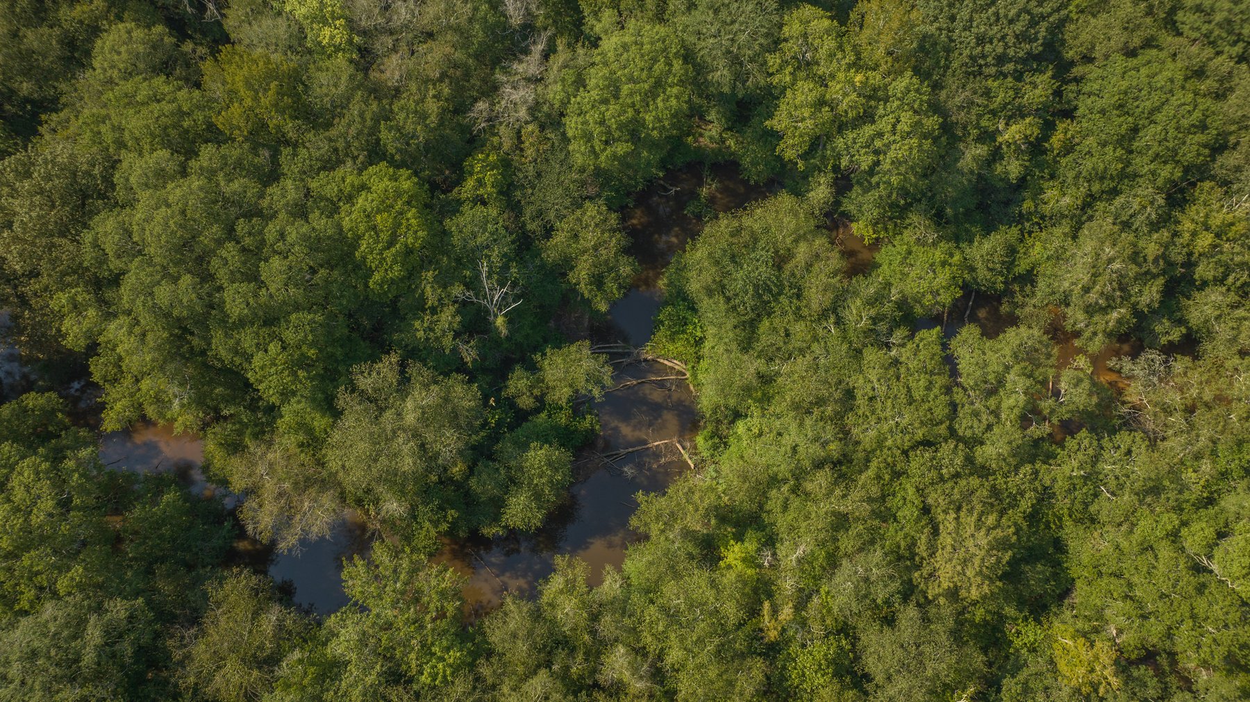 Image for 276+/- Acres - Buck Creek Place - Macon County, GA