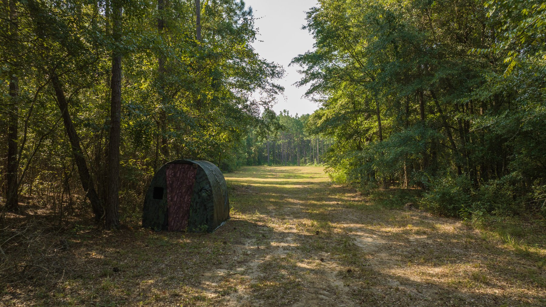 Image for 276+/- Acres - Buck Creek Place - Macon County, GA