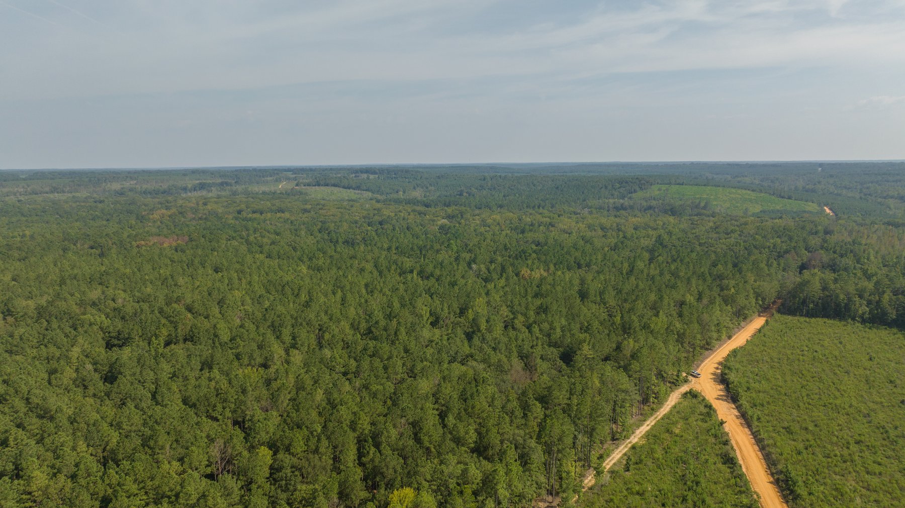Image for 276+/- Acres - Buck Creek Place - Macon County, GA