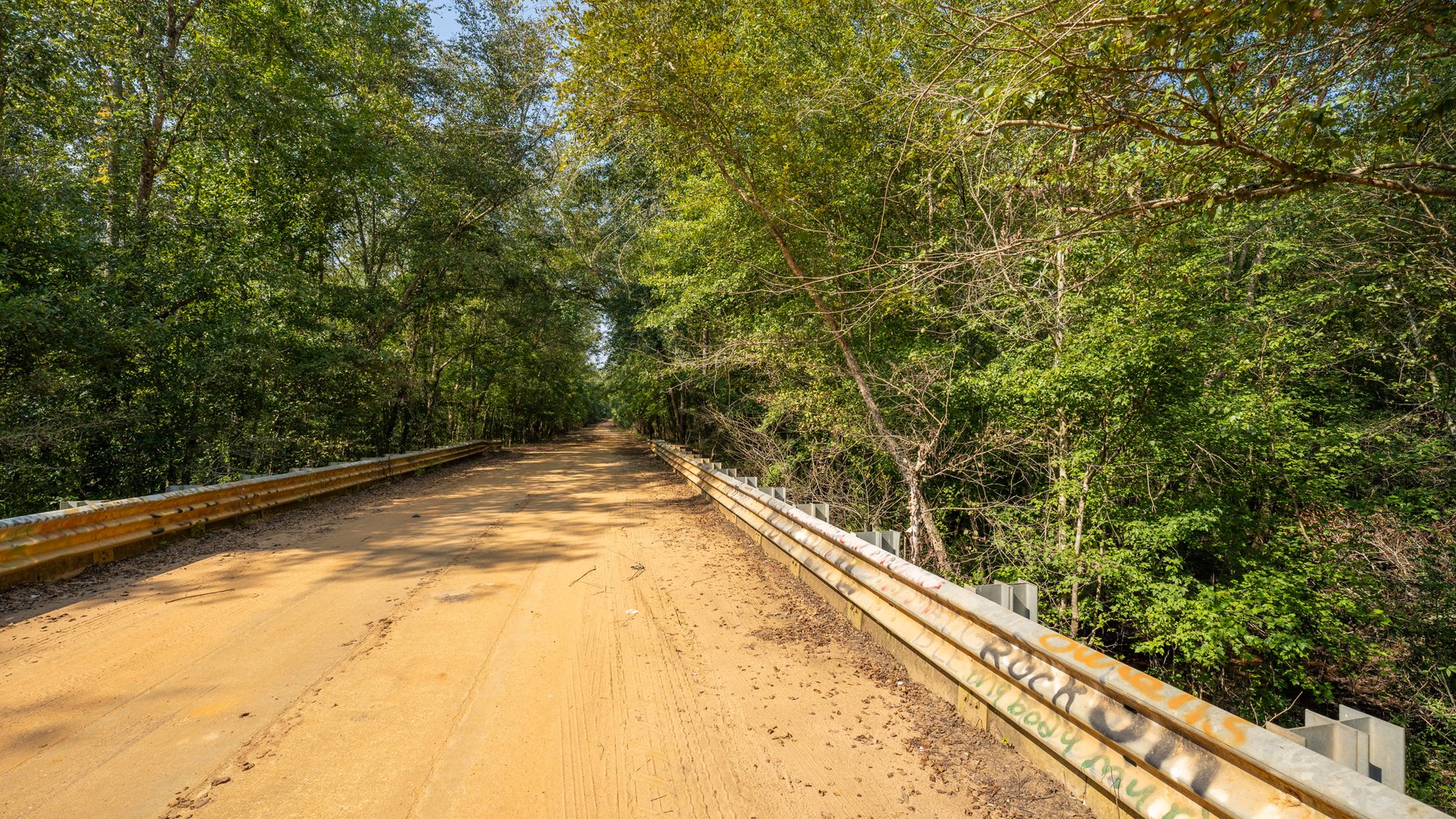 Image for 276+/- Acres - Buck Creek Place - Macon County, GA