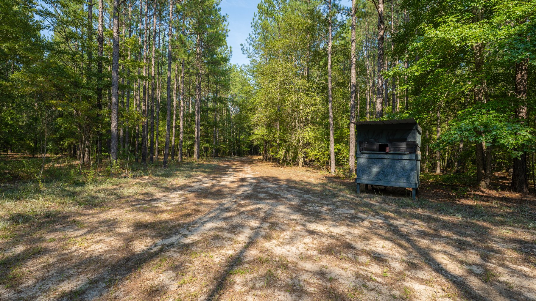 Image for 276+/- Acres - Buck Creek Place - Macon County, GA
