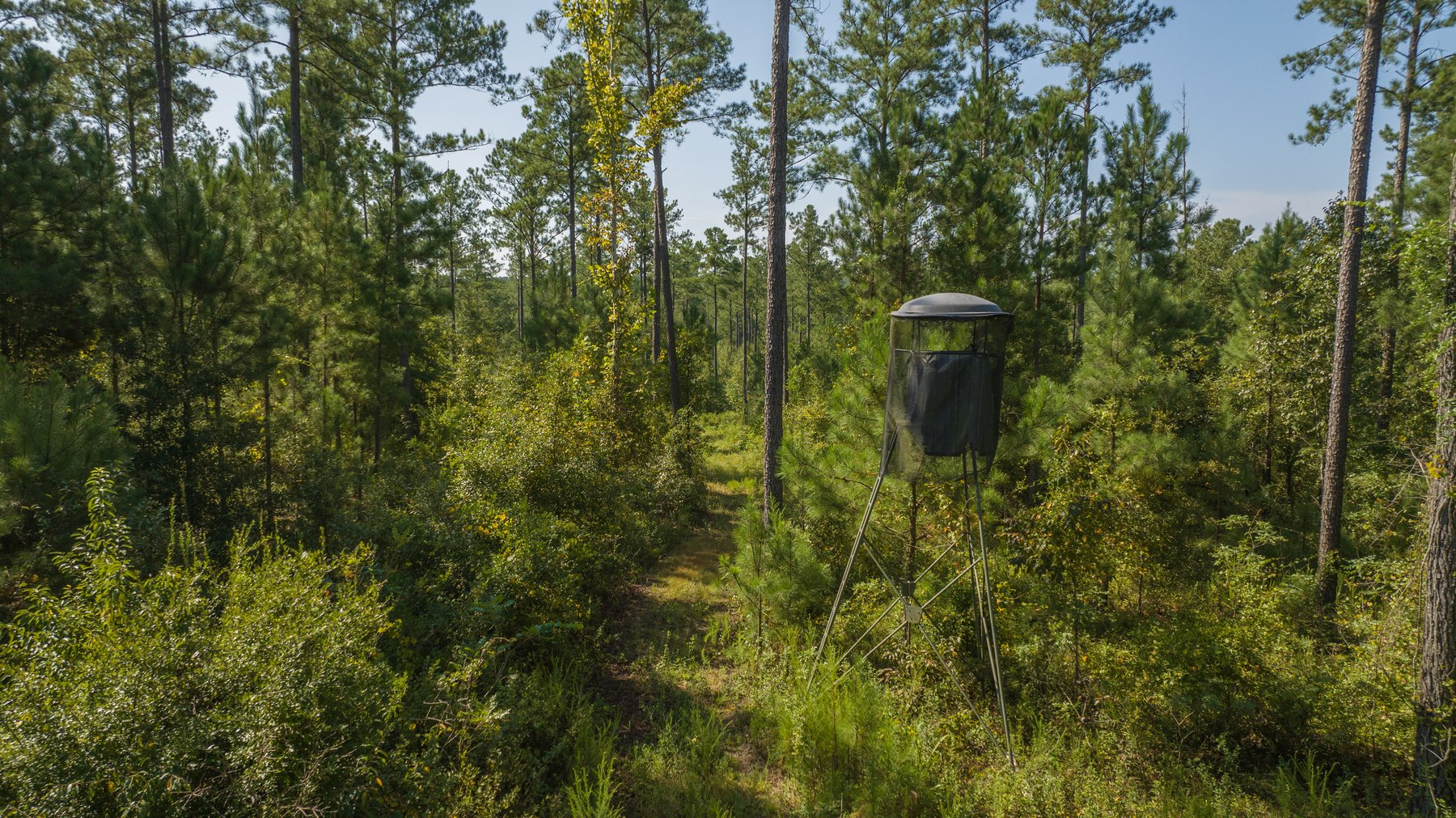 Image for 602+/- Acres - Hardwick Place - Henry County, AL