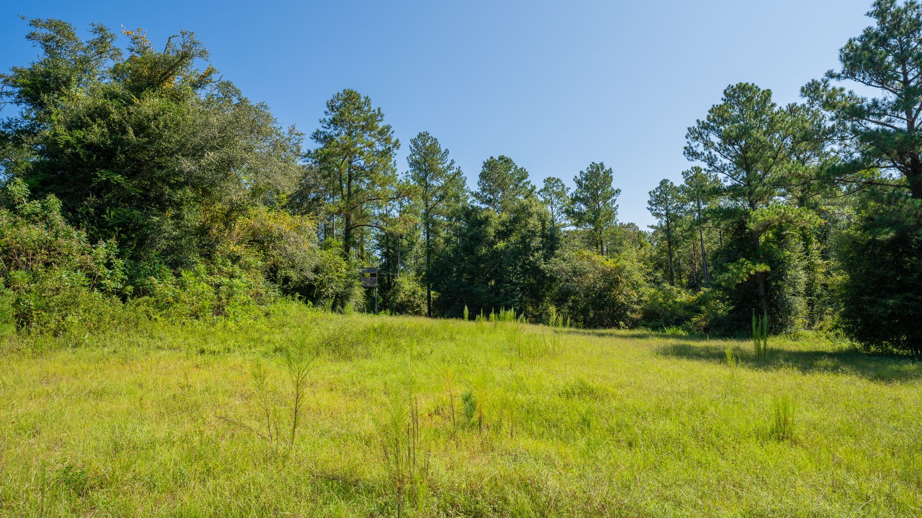 Image for 602+/- Acres - Hardwick Place - Henry County, AL