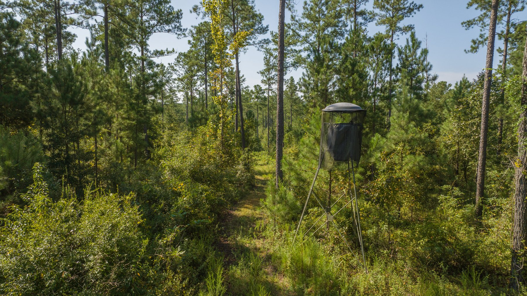 Image for 602+/- Acres - Hardwick Place - Henry County, AL