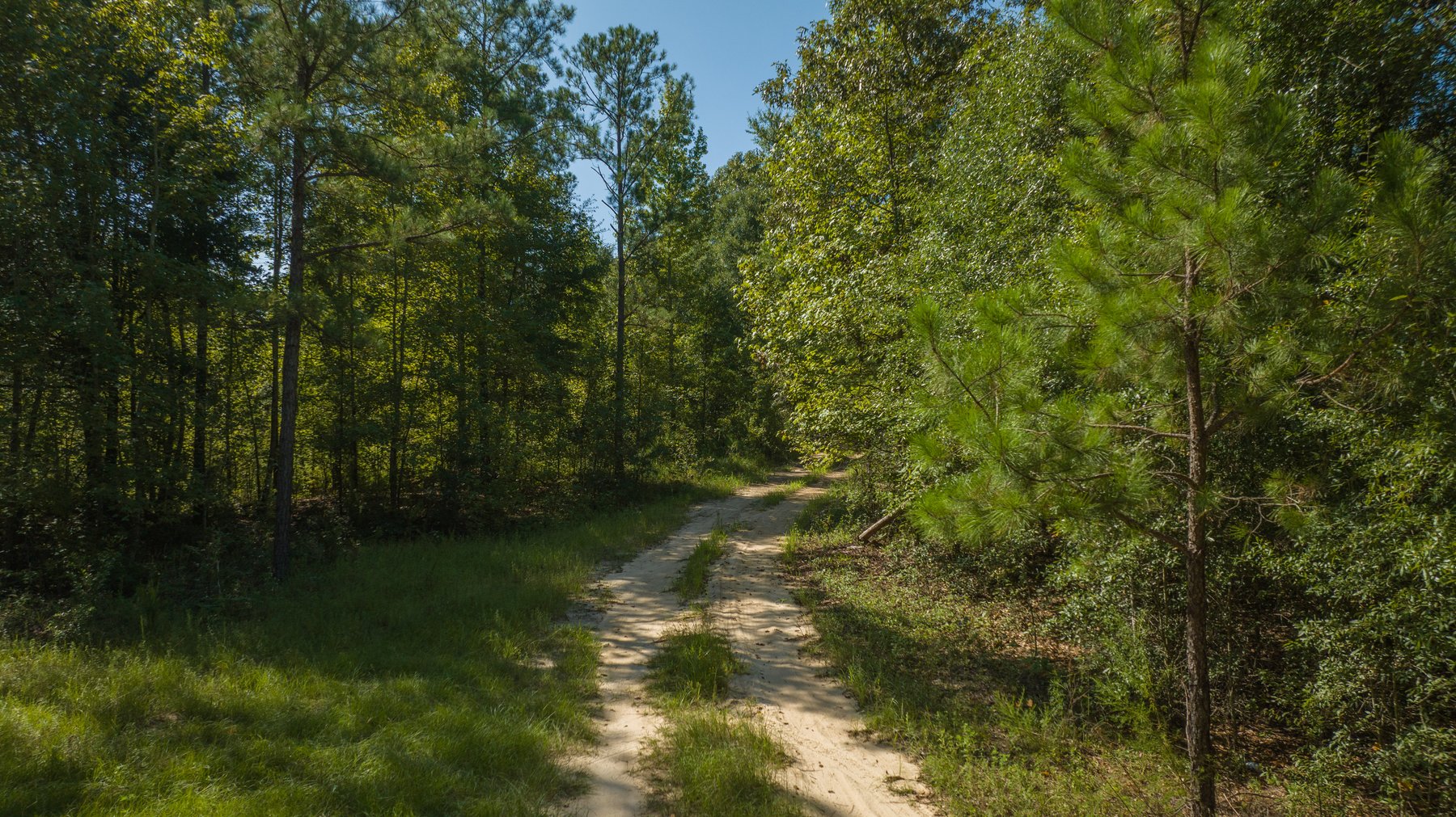 Image for 602+/- Acres - Hardwick Place - Henry County, AL