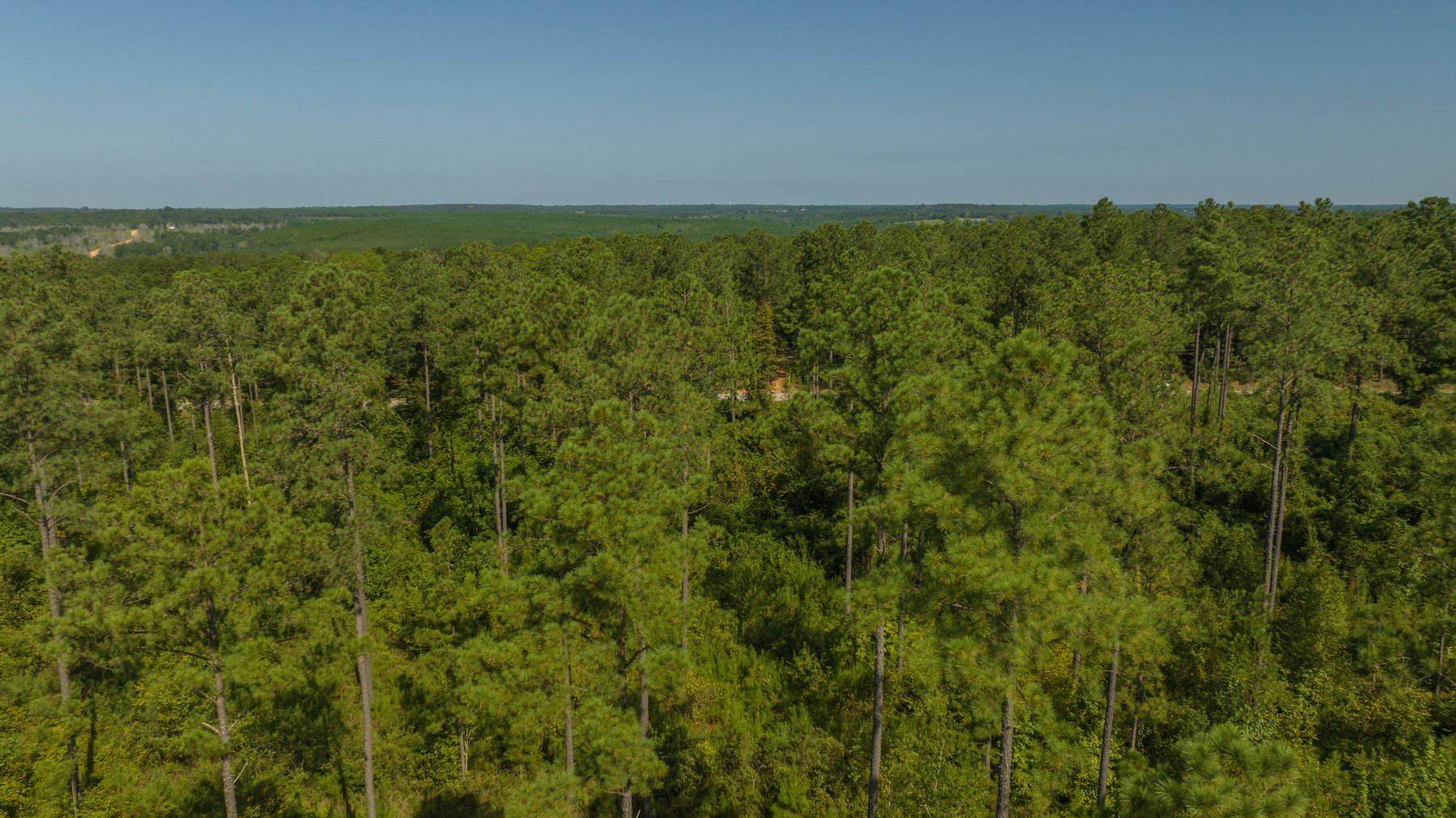 Image for 602+/- Acres - Hardwick Place - Henry County, AL
