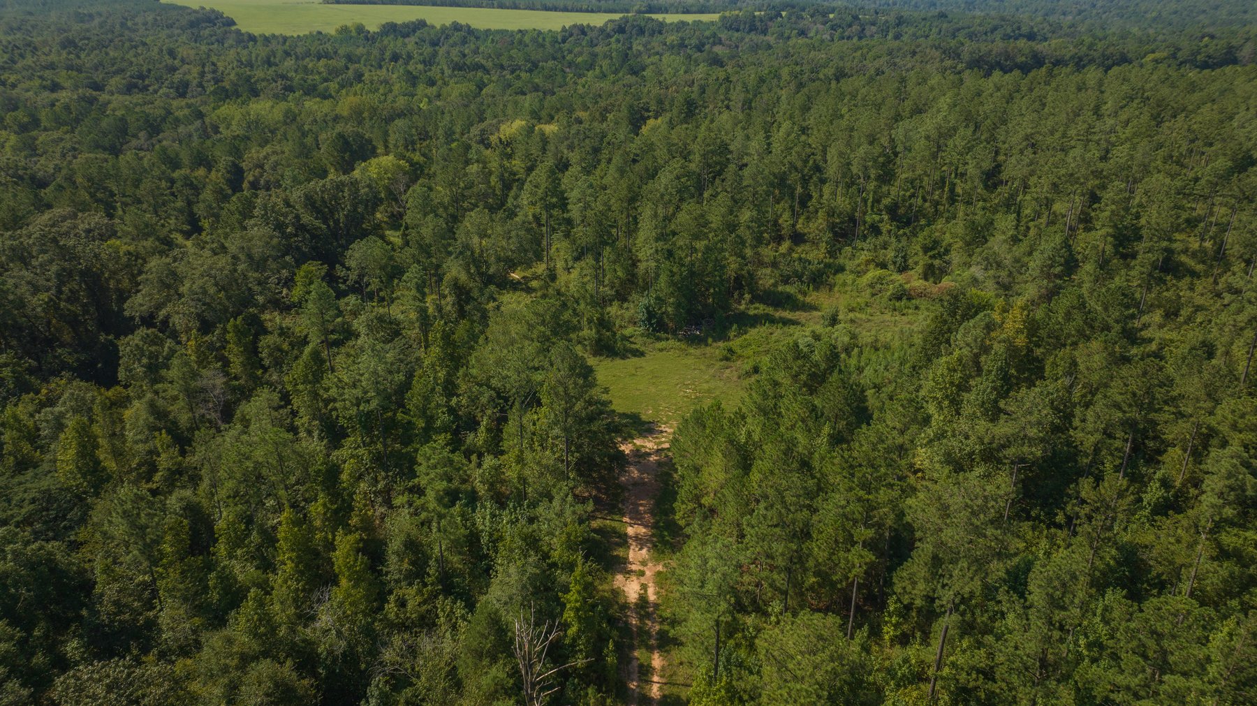 Image for 602+/- Acres - Hardwick Place - Henry County, AL